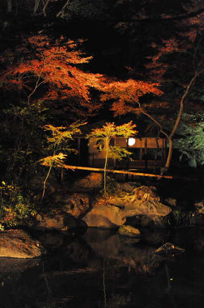 �Z�`���̃��C�g�A�b�v�g�t