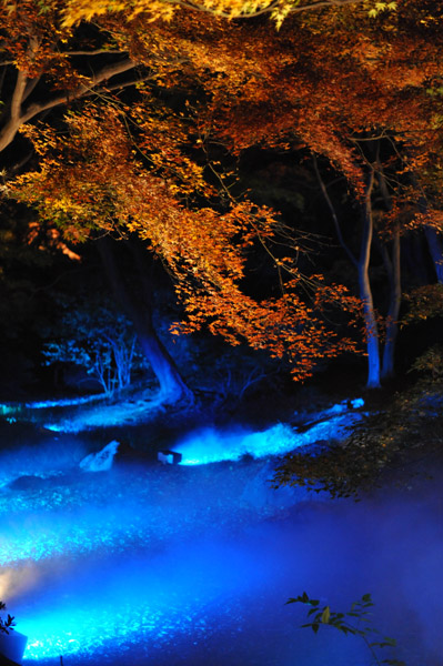 �Z�`���̃��C�g�A�b�v�g�t