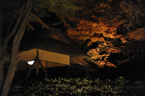 �Z�`���̃��C�g�A�b�v�g�t