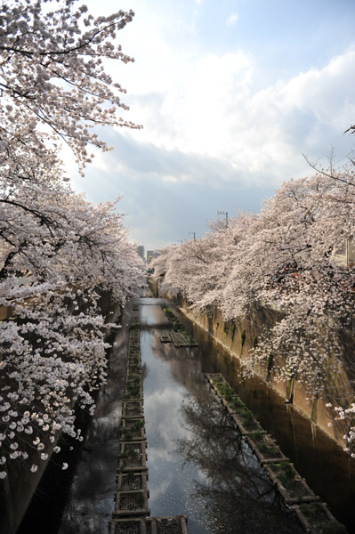 �ΐ_���̍�