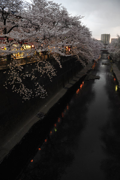 �ΐ_���̍�