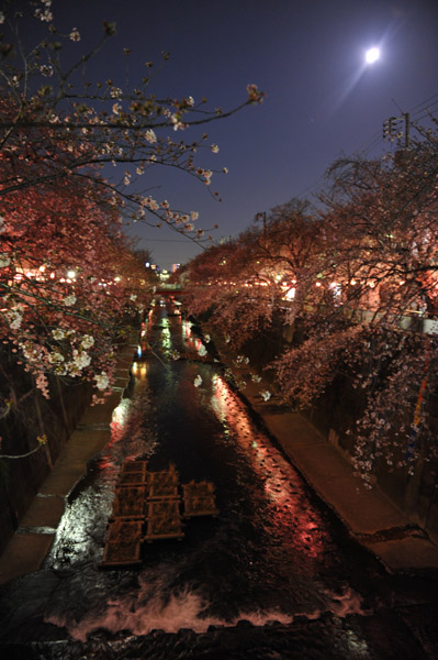 �ΐ_���̍�