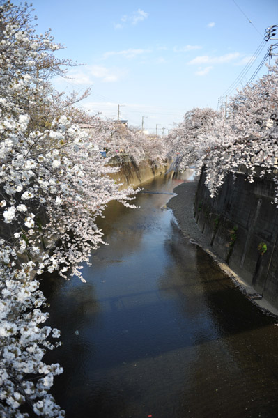 �ΐ_���̍�