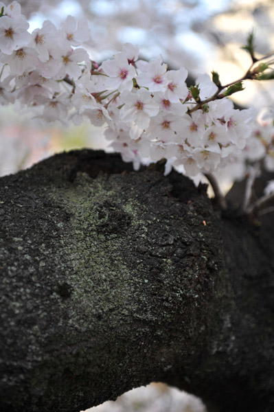 �ΐ_���̍�