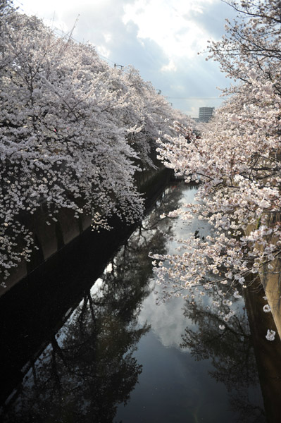 �ΐ_���̍�