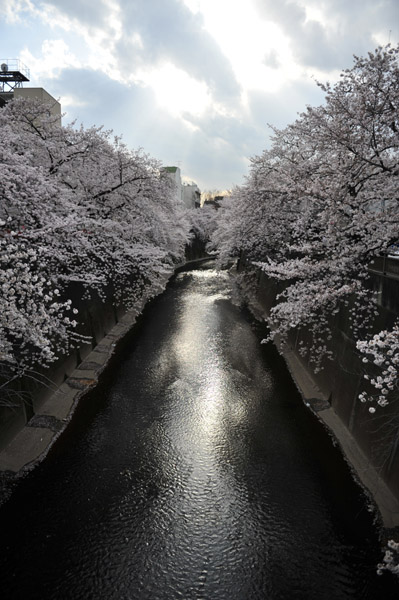 �ΐ_���̍�