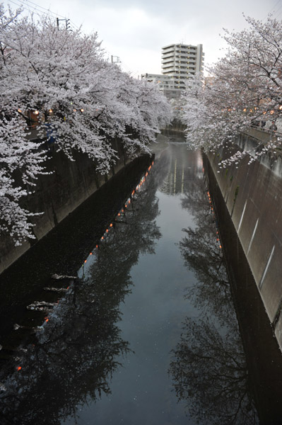 �ΐ_���̍�