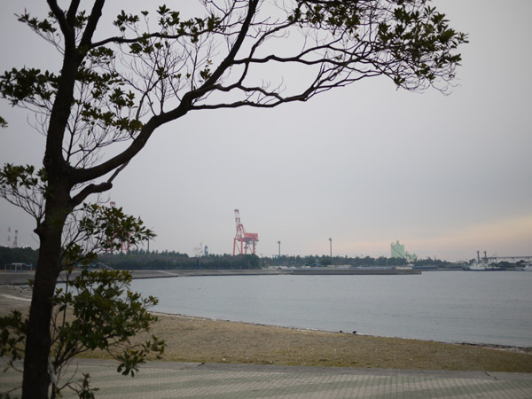 ��t�|�[�g�^���[�̐l�H���l