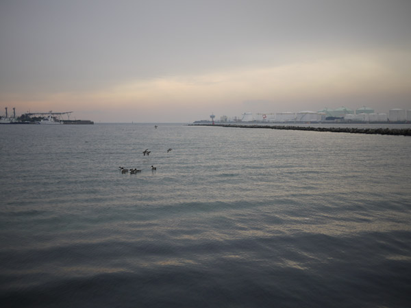 ��t�|�[�g�^���[�̐l�H���l