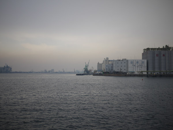 ��t�|�[�g�^���[�̐l�H���l