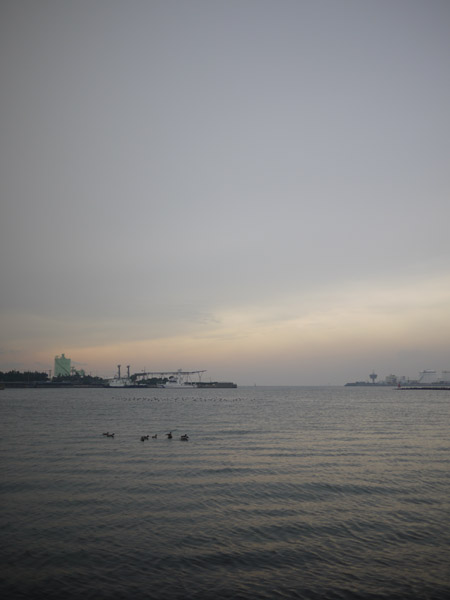 ��t�|�[�g�^���[�̐l�H���l