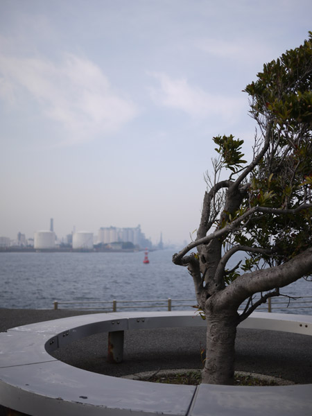 �C�ӂɂ������؂̕��i