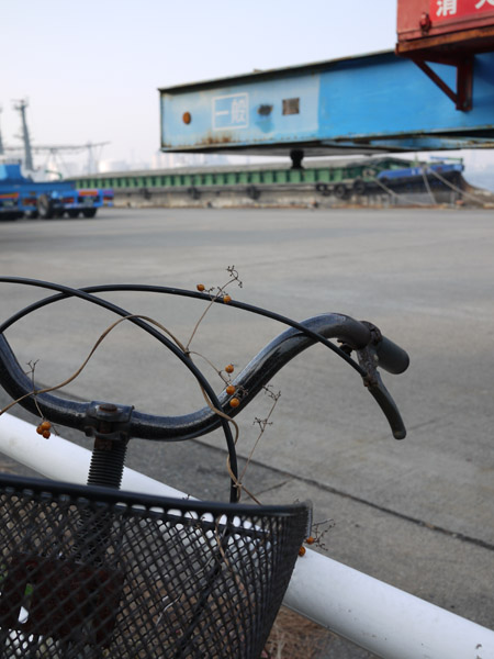 �`�p�{�݂ɕ��u���ꂽ���]��