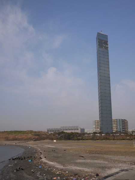 ��t�|�[�g�^���[�̐l�H���l