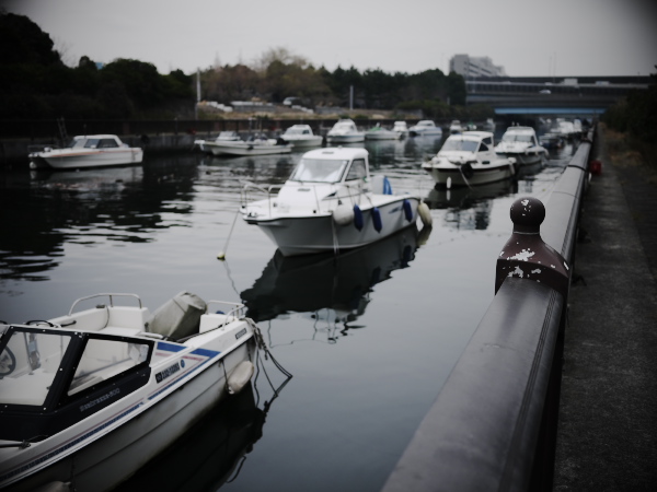 �C�l�����l�c��̕��i