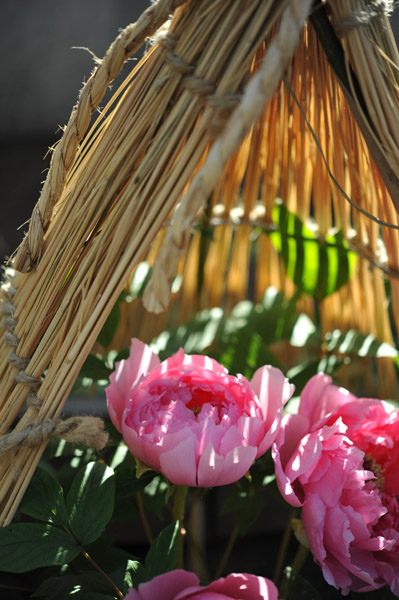 ��쓌�Ƌ{�ڂ��񉑁i�~�ڂ���j