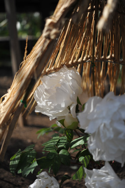 ��쓌�Ƌ{�ڂ��񉑁i�~�ڂ���j