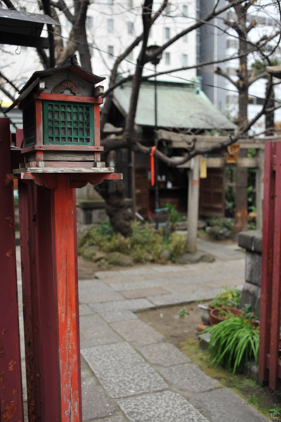 �H�t���̖��X�_��