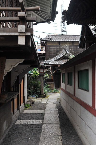 �H�t���̖��X�_��