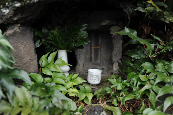 �H�t���̖��X�_��