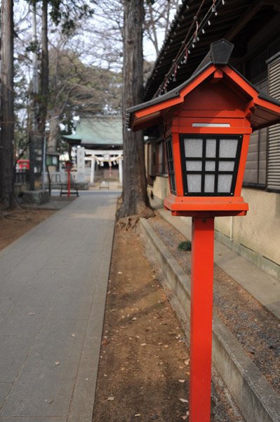 �����_�Ђ̎Q��