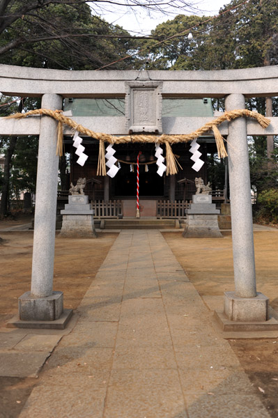 �����_��