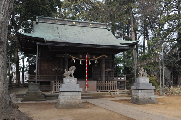 �����_��