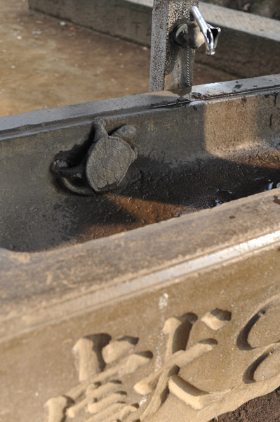 �����_��