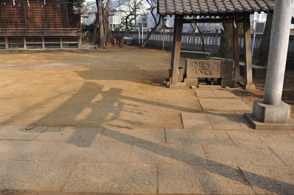 �����_��