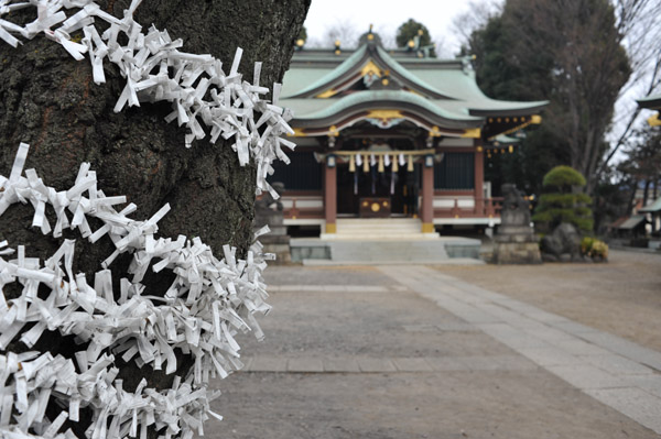 �����s�����̕X��_��