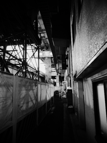 �_�c�̍��ˉ��̕��i