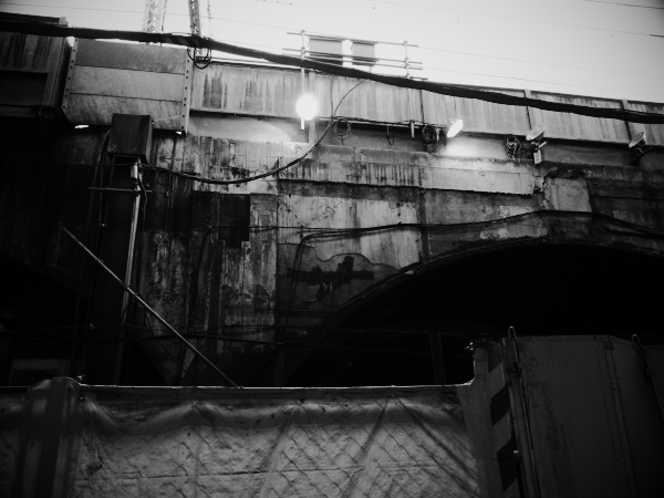 �_�c�̍��ˉ��̕��i