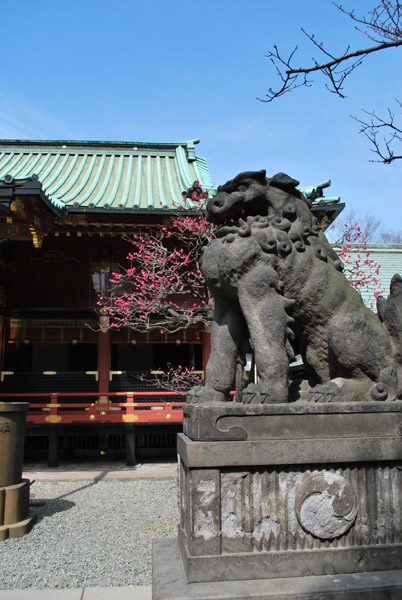 �����Ƌ���