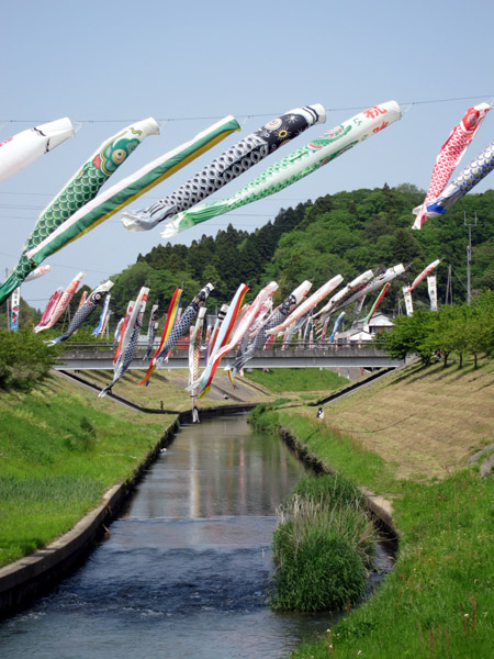 ��t���s���s���c��̐����̌�̂ڂ�