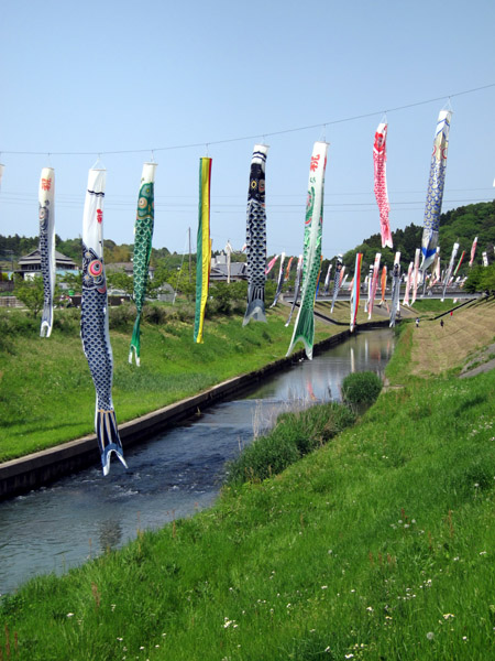 ��t���s���s���c��̐����̌�̂ڂ�