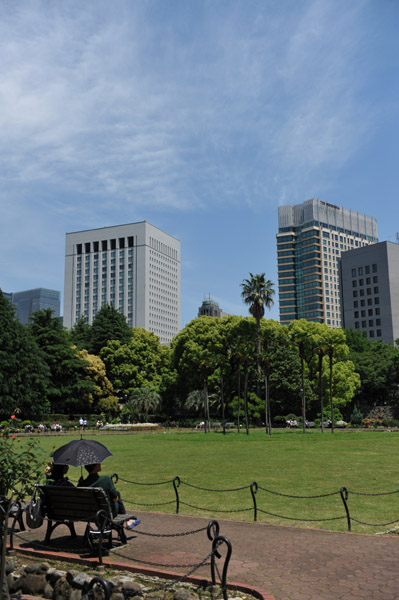 ���V�̓���J����