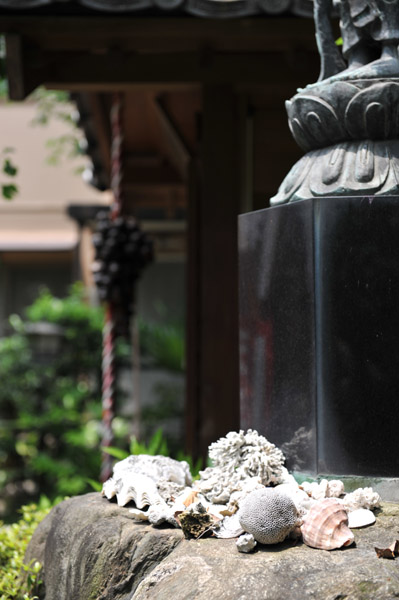 �L�k�ƃT���S