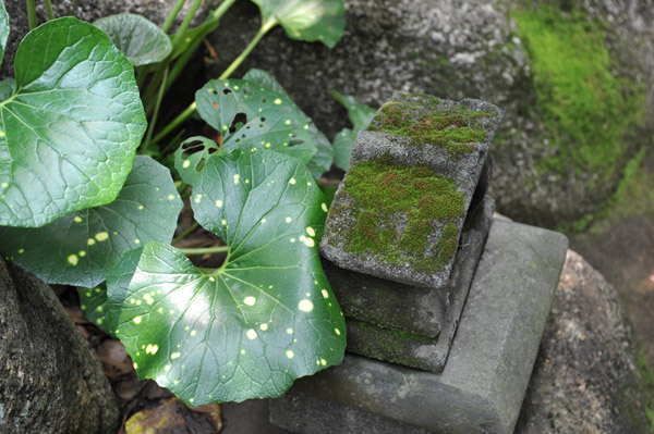 �����ɂđۂނ����Α�