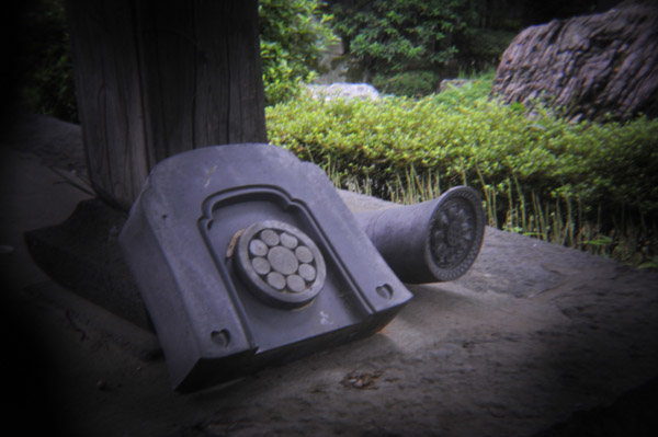 �����R���{�@