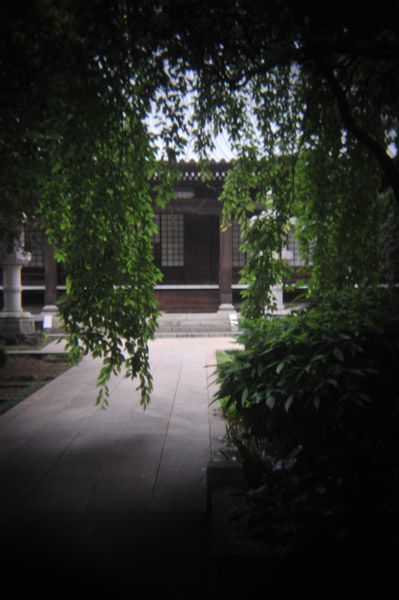 �����R���{�@