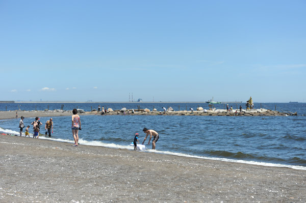 ��쓇�C�l�����̍��l�i�΂��l�j�̕��i