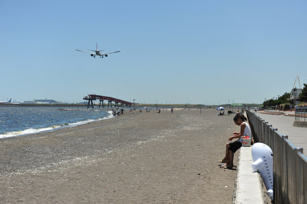 ��쓇�C�l�����̍��l�i�΂��l�j�̕��i