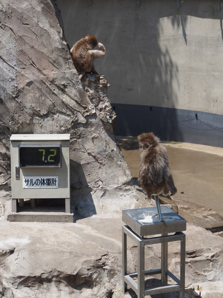 �̏d�v�����鉎