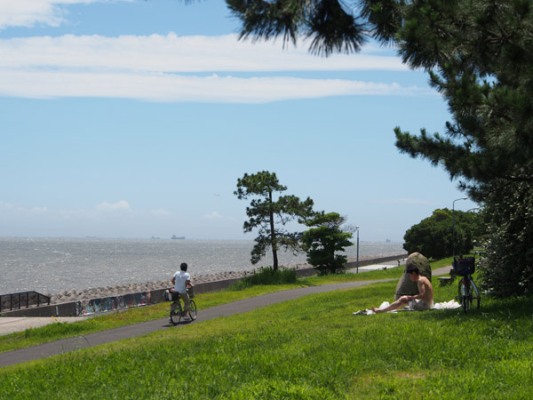 �]�����F�C�l�����̕��i