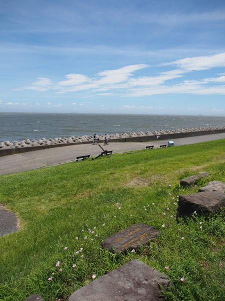 ��F�C�l����