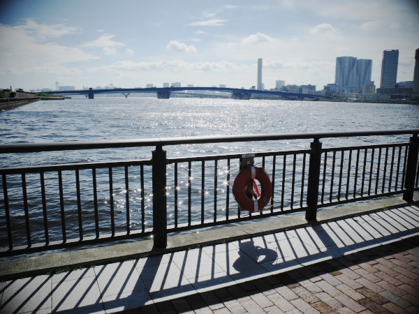 �s���t�C�������̕��i