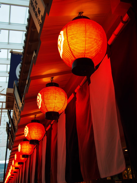 �H�c��`���ې����q�^�[�~�i���̒�