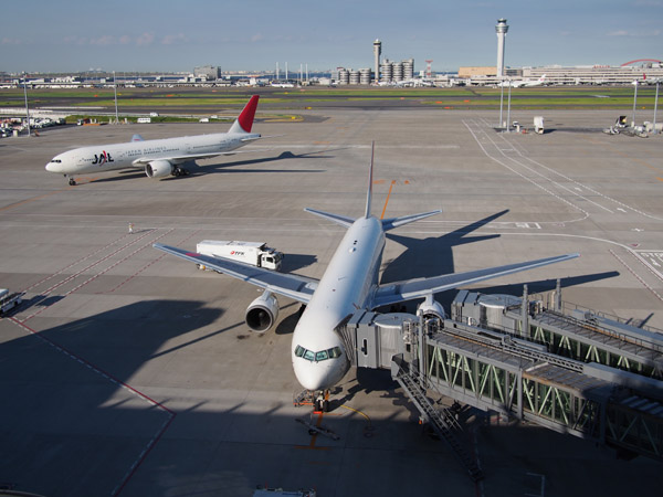 �H�c��`���ې����q�^�[�~�i���̓W�]�f�b�L