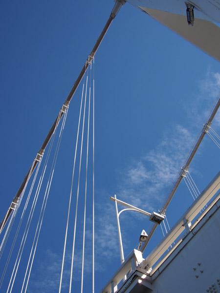 ���C���{�[�u���b�W�̋��r