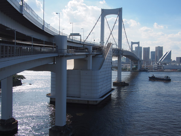 ���C���{�[�u���b�W�̋��r